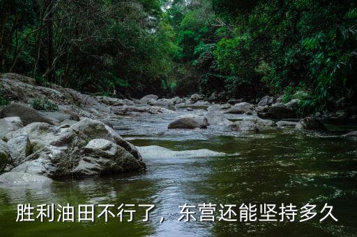 每年勝利油田給東營多少億,東營有勝利油田