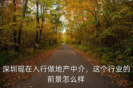 深圳信中利地產怎么樣,深圳現在入行做地產中介