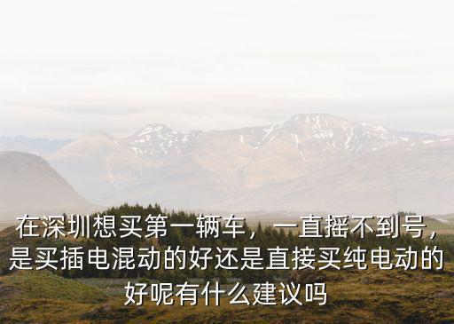 深圳在哪里買車好,在深圳想買第一輛車