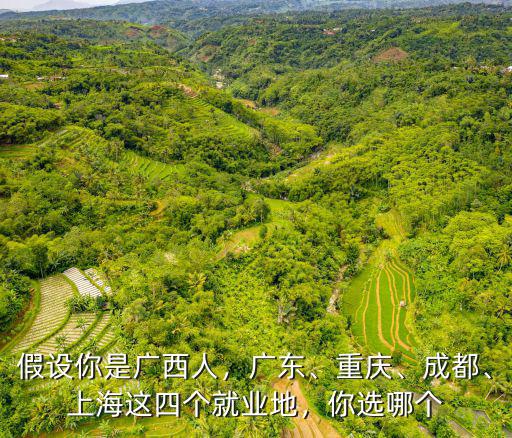 廣東有多少人在重慶,有在重慶上班的嗎