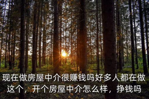 現在做房屋中介很賺錢嗎好多人都在做這個，開個房屋中介怎么樣，掙錢嗎