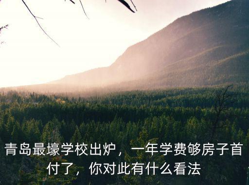 青島最壕學(xué)校出爐，一年學(xué)費夠房子首付了，你對此有什么看法