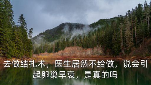 廣州哪里可以做絕育手術,母貓做絕育手術多少錢