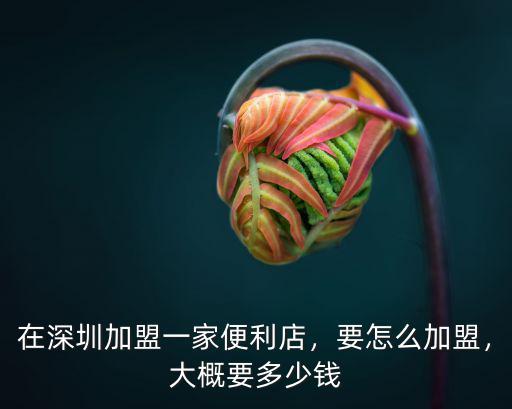 在深圳加盟一家便利店，要怎么加盟，大概要多少錢