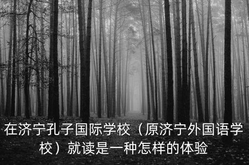 在濟寧孔子國際學校（原濟寧外國語學校）就讀是一種怎樣的體驗