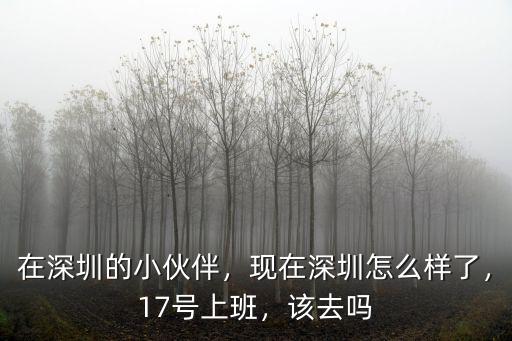 現在深圳醫療怎么樣,深圳大學醫學部怎么樣