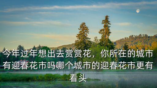 廣東迎春花市展出多少種花,你所在的城市有迎春花市嗎
