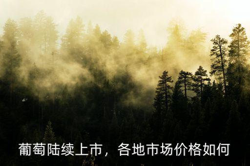 淄博浦江葡萄價格多少錢一斤,葡萄陸續上市