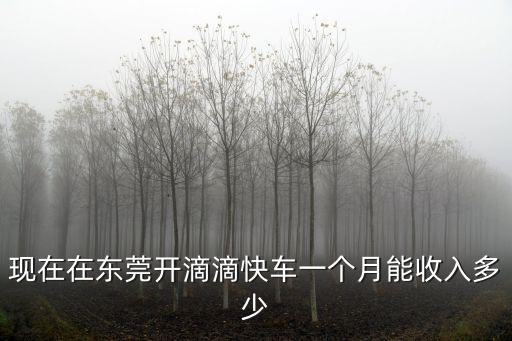 現(xiàn)在在東莞開滴滴快車一個月能收入多少