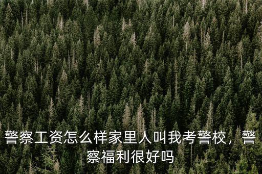 警察工資怎么樣家里人叫我考警校，警察福利很好嗎