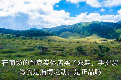 在商場的耐克實體店買了雙鞋，手提袋寫的是滔博運動，是正品嗎