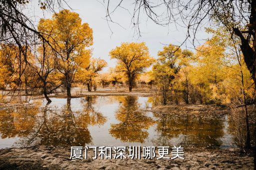 廈門和深圳哪更美