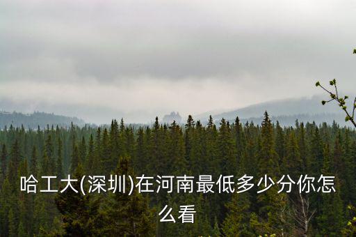 哈工大(深圳)在河南最低多少分你怎么看