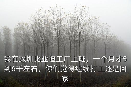 深圳比亞迪工資待遇怎么2,我在深圳比亞迪工廠上班