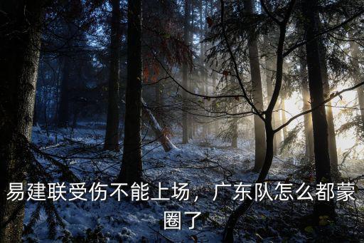 易建聯在廣東隊是多少號,易建聯為何沒在NBA打出來