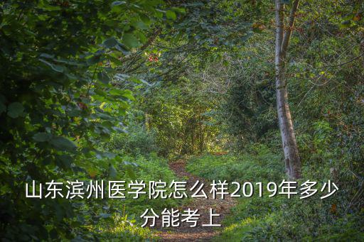 2019濱州學院錄取分數線是多少,山東濱州醫學院怎么樣