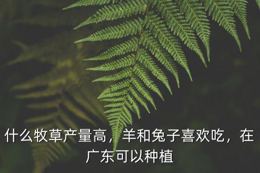 廣東牧草種子怎么樣,在廣東可以種植