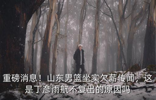 重磅消息！山東男籃坐實(shí)欠薪傳聞，這是丁彥雨航不復(fù)出的原因嗎