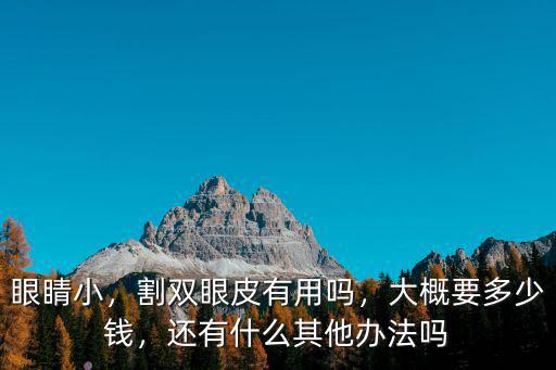 眼睛小，割雙眼皮有用嗎，大概要多少錢，還有什么其他辦法嗎