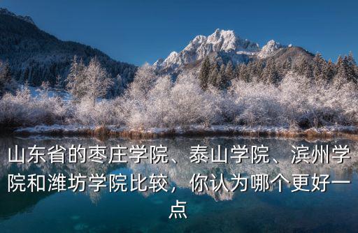 山東省的棗莊學(xué)院、泰山學(xué)院、濱州學(xué)院和濰坊學(xué)院比較，你認(rèn)為哪個更好一點