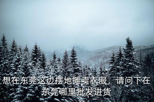 想在東莞這邊擺地攤賣衣服，請問下在東莞哪里批發進貨
