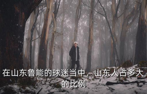 山東魯能足球球迷多少,恒大球迷多還是魯能球迷多