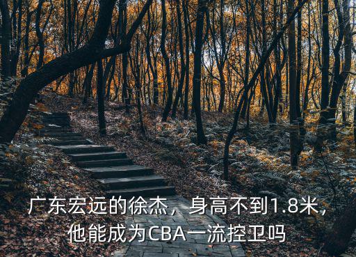 廣東宏遠的徐杰，身高不到1.8米，他能成為CBA一流控衛嗎