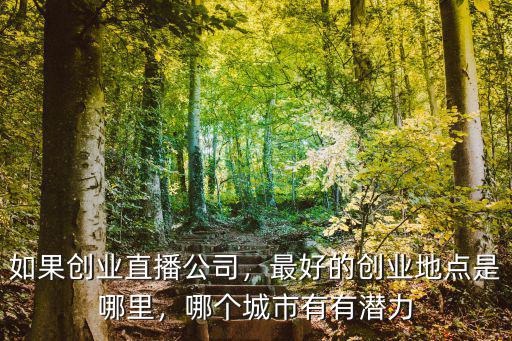 深圳最大的直播基地在哪里,深圳哪里的海最有人氣
