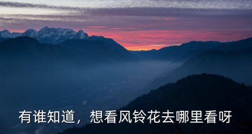 深圳哪里看黃花風鈴花,想看風鈴花去哪里看呀