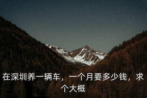 在深圳養(yǎng)一輛車，一個(gè)月要多少錢，求個(gè)大概