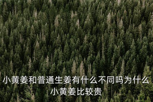 小黃姜和普通生姜有什么不同嗎為什么小黃姜比較貴