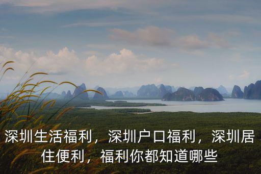 深圳生活福利，深圳戶口福利，深圳居住便利，福利你都知道哪些
