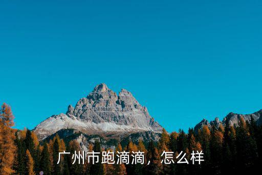 廣州市跑滴滴，怎么樣