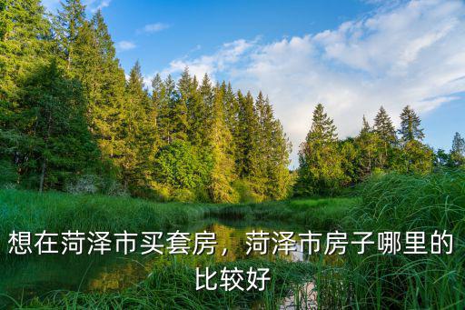 菏澤市有多少三甲醫(yī)院,山東省淄博市有哪些三甲醫(yī)院