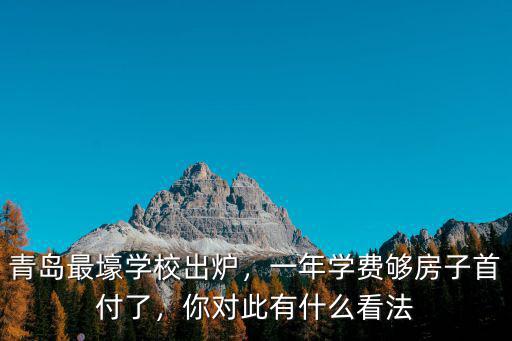 青島智榮學校一年學費多少,青島最壕學校出爐