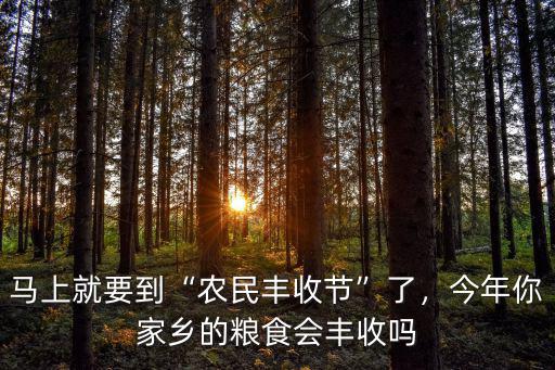 馬上就要到“農(nóng)民豐收節(jié)”了，今年你家鄉(xiāng)的糧食會(huì)豐收嗎