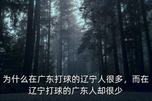 在遼寧有多少廣東人,廣東宏遠(yuǎn)到底有多少本土球員