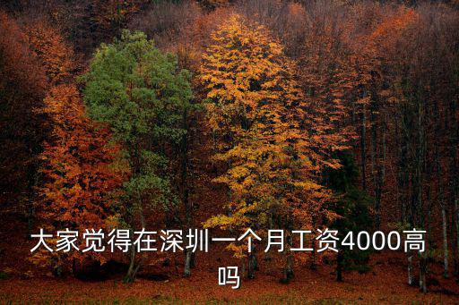 大家覺得在深圳一個月工資4000高嗎