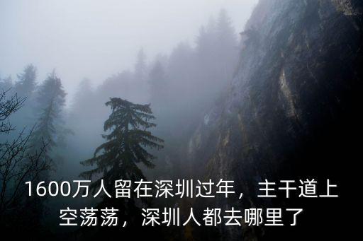 1600萬人留在深圳過年，主干道上空蕩蕩，深圳人都去哪里了