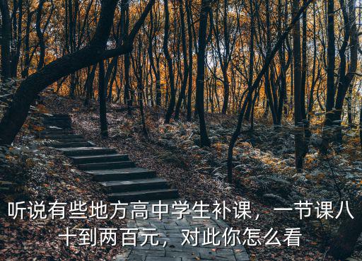 聽說有些地方高中學(xué)生補課，一節(jié)課八十到兩百元，對此你怎么看