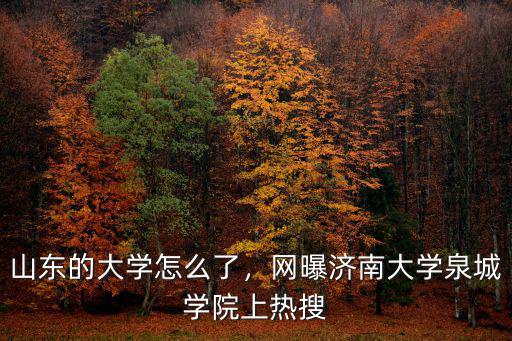濟南大學一年多少學分,網曝濟南大學泉城學院上熱搜