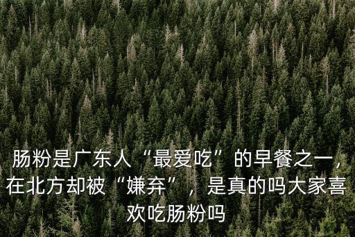 廣東腸粉怎么吃啊,你覺得廣東腸粉好吃嗎