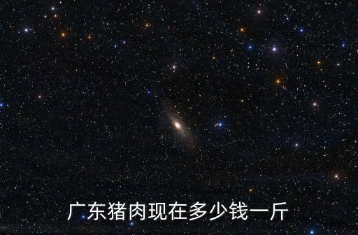 廣東毛豬今日豬價多少錢,廣東豬肉現在多少錢一斤