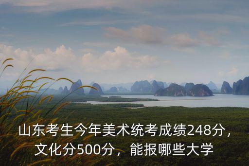 山東藝術(shù)考生二本分?jǐn)?shù)線(xiàn)是多少分,山東藝術(shù)文二本分?jǐn)?shù)線(xiàn)多少