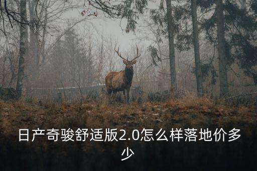 日產(chǎn)奇駿舒適版2.0怎么樣落地價多少