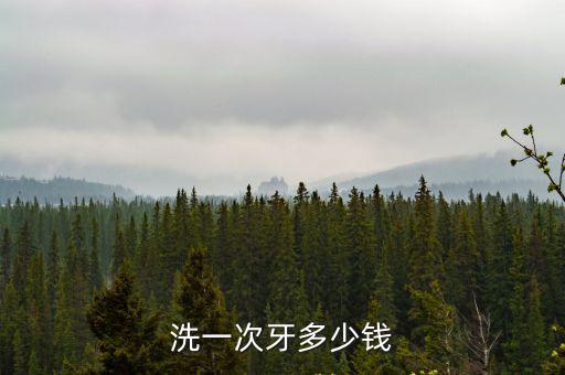 洗一次牙多少錢