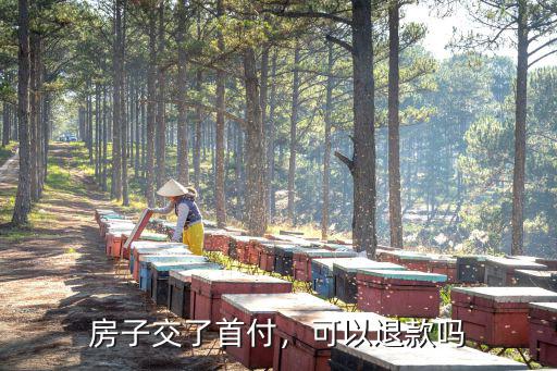 房子交了首付，可以退款嗎