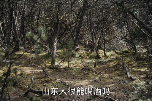 廣東哪里的人最能喝酒,為什么廣東人愛喝XO