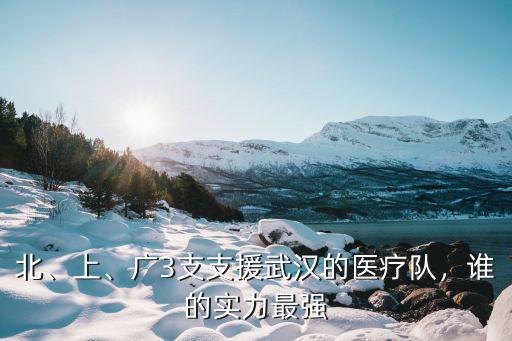 北、上、廣3支支援武漢的醫療隊，誰的實力最強