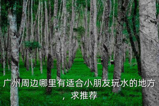 廣州周邊哪里有適合小朋友玩水的地方，求推薦
